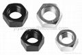 hex nuts