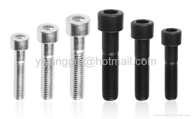 Hex socket cap screws