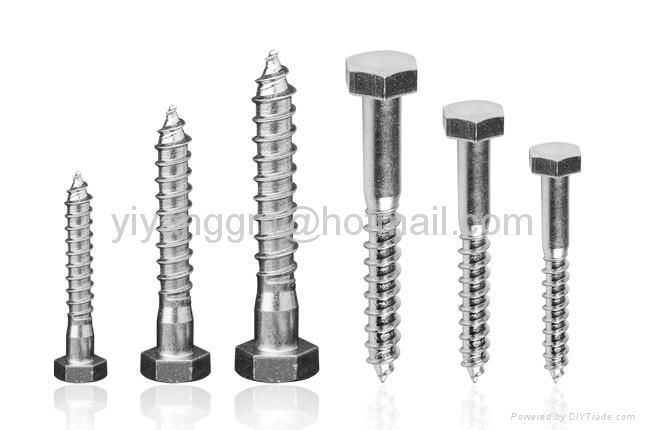 Hex lag screws