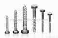 Hex lag screws 1