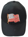 Flag cap for voting  1