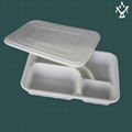 Corn starch Disposable lunch box 2