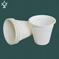 Disposable biodegradable cup 1