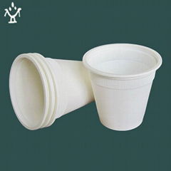 Disposable biodegradable cup