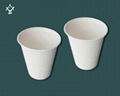 Disposable biodegradable cup 4