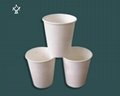 Disposable biodegradable cup 5