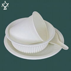 Biodegradable disposable eco-friendly PSM dinnerware suit