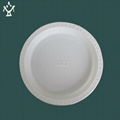 Biodegradable Disposable corn starch plate 1