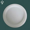 Biodegradable Disposable corn starch plate 3