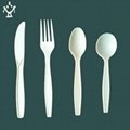 PSM Disposable  Corn starch cutlery 2
