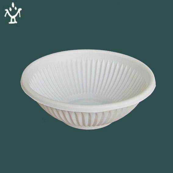 Biodegradable disposable dinnerware 5