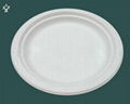 6''biodegradable disposable Corn starch plates 1