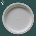 6''biodegradable disposable Corn starch plates 2