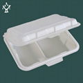 Corn starch lunch box 1