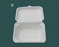 Corn starch lunch box 2