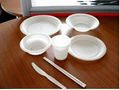 Biodegradable Disposable noodle bowl 5