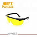 safety glasses 2