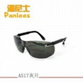 safety glasses 2