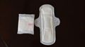 sanitary napkin for day use 1