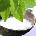 Stevia Sugar  1