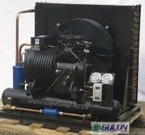  Gulun Air cooled condensing unit-2cs-300