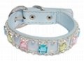 Fashionable Leather Pet Collar 1