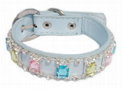 Fashionable Leather Pet Collar