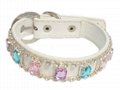 Fashionable Leather Pet Collar 3