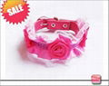 dog collars 1