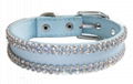 rhinestone pet dog collar