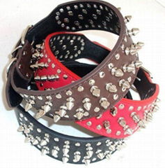 spike dog collars