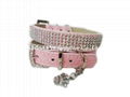 pet collars and leashes 4