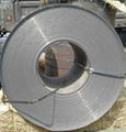 Cold rolled steel coil 1