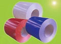 Prepainted steel coil