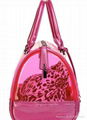 Fashion PVC Bag 4