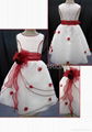 Children dress   F0023 1