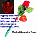 MAGIC ROSE - ΡΟΜΑΝΤΙΚΟ ΤΡΙΑΝΤΑΦΥΛΛΟ 1