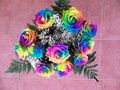 RAINBOW ROSES 1