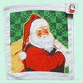 Supply Compressed Towel with OEM Services for Promotional Holiday Gifts