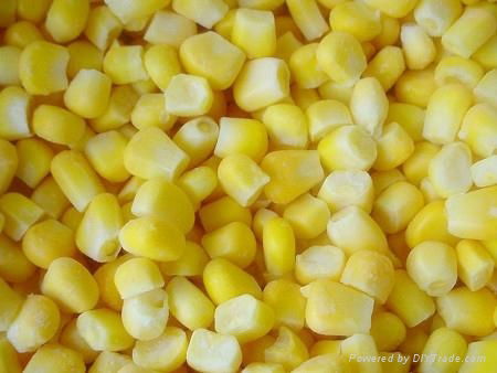 frozen sweet corn kernels iqf sweet corn kernels(qianye)