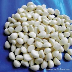 IQF garlic dices frozen garlic dices slices cloves(qianye)