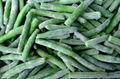 frozen GREEN BEAN CUTS IQF GREEN BEAN CUTS(qianye) 2