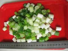 FROZEN green scallion pieces(qianye)