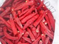 IQF chilli frozen chilli rings pieces(qianye) 3