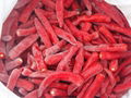 IQF chilli frozen chilli rings pieces(qianye) 4