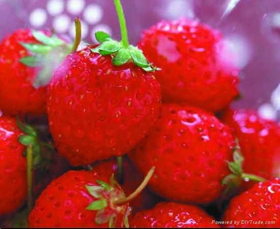 IQF strawberry dices frozen strawberry(qianye)