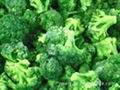 frozen broccoli florets iqf broccoli florets(qianye) 2