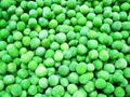 frozen green peas iqf green peas (qianye) 3