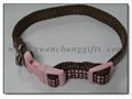 Dog collar and leash 1
