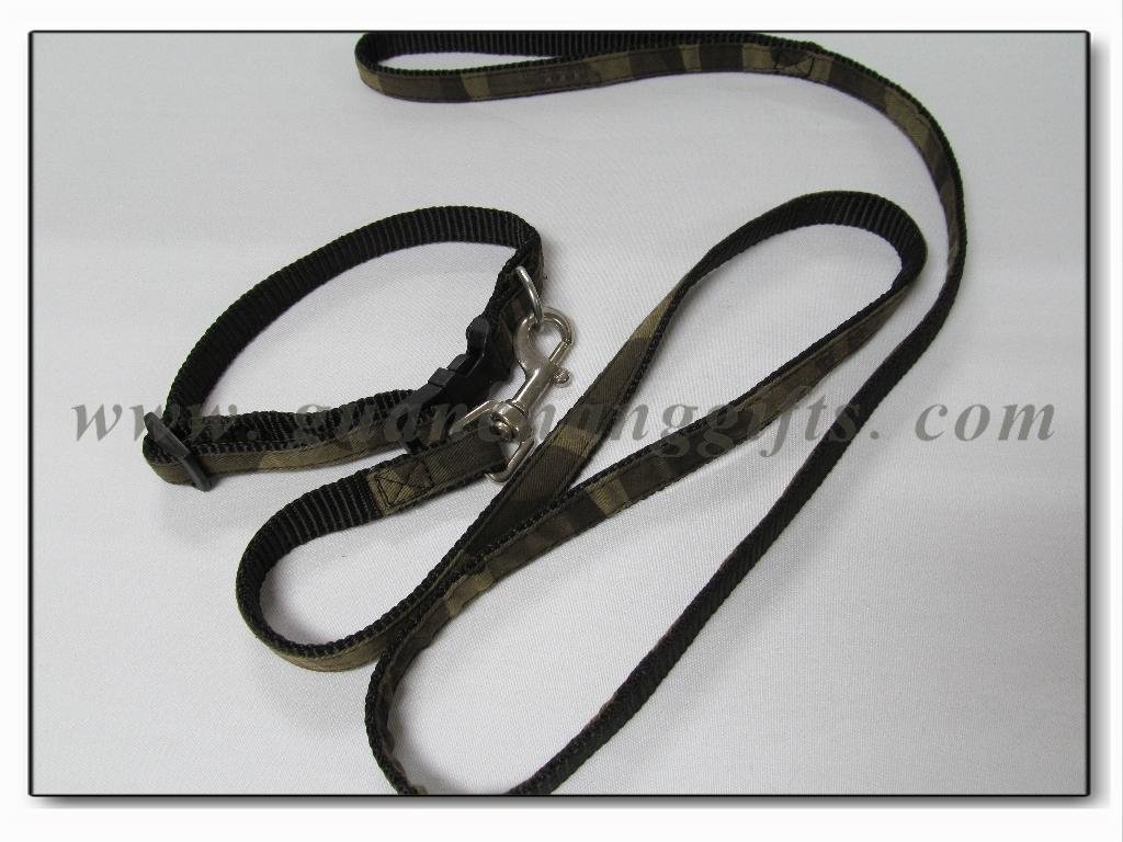 Dog collar and leash 2